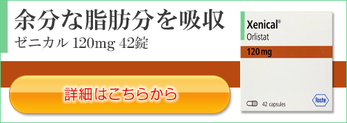ゼニカル 120mg 42錠
