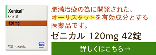 ゼニカル 120mg 42錠