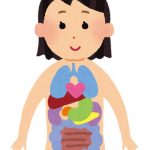 基礎代謝のアップには内臓の活性化が最適！肥満遺伝子をもっていても痩せる体質改善法とは？