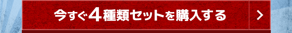 今すぐ4種類セットを購入する